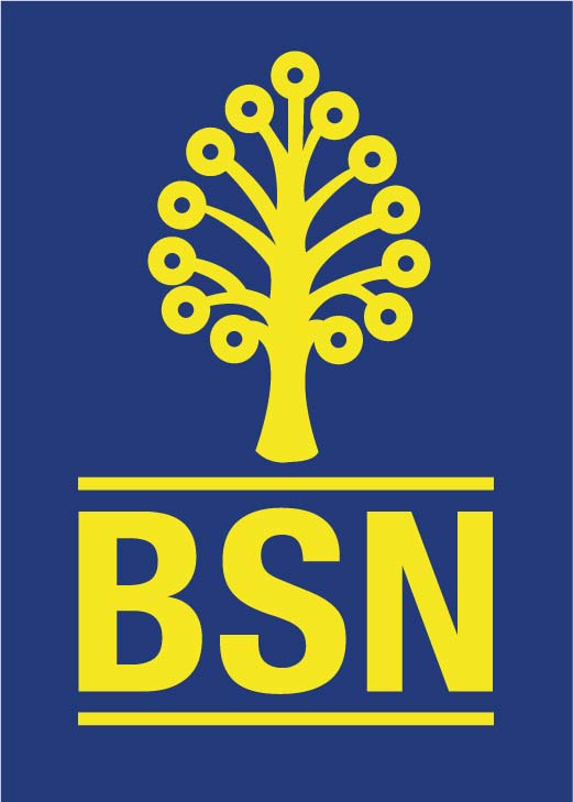 BSN